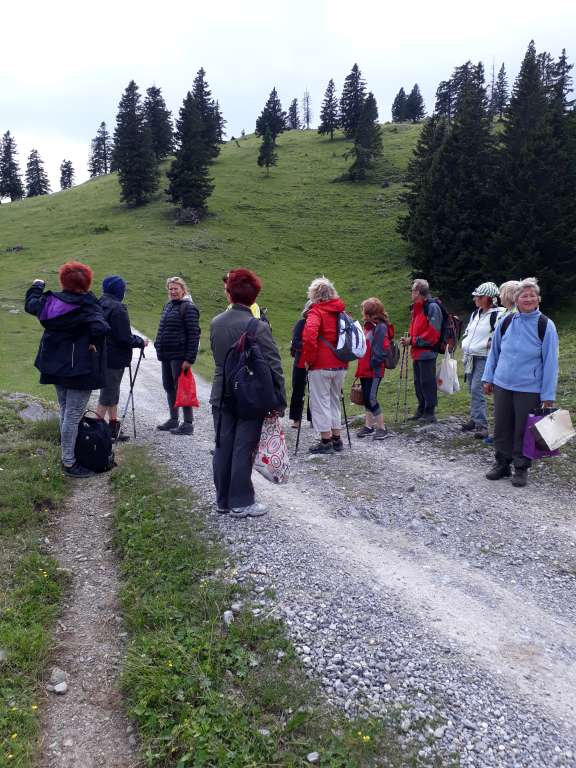 Velika planina